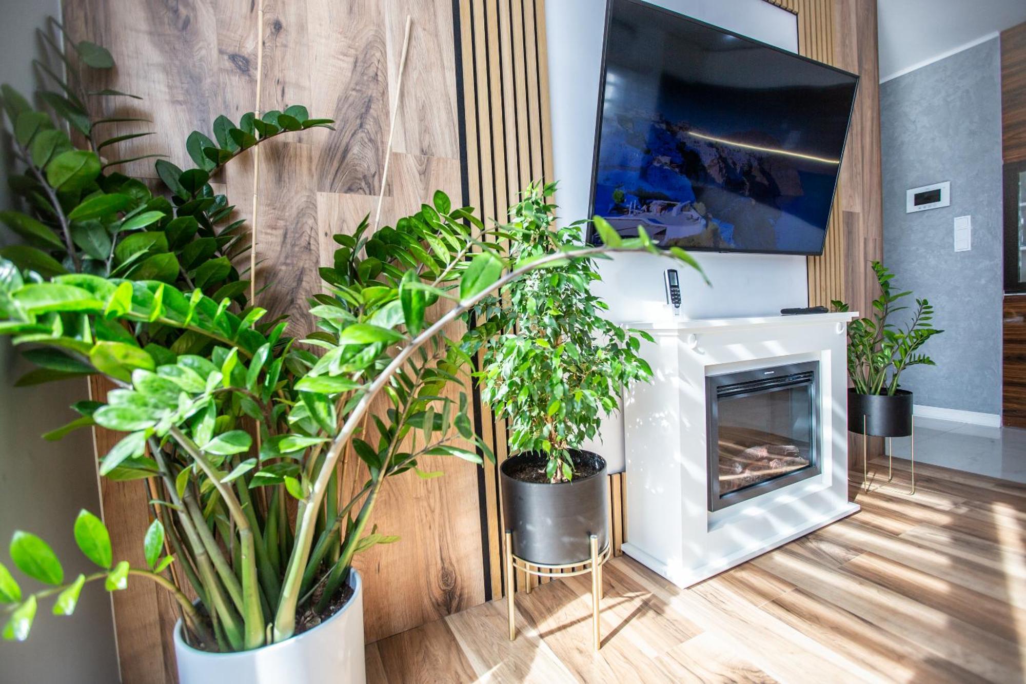 Wlodarska 4A Apartament Premium Krakow Luaran gambar